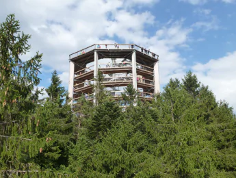 Stezka korunami stromů - Lipno nad Vltavou