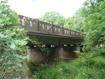 Stříbřec