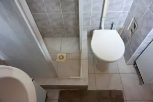 sprchový kout a WC v koupelně