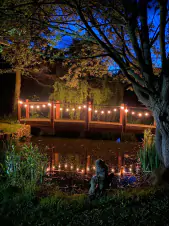 zahradní jezírko s mostem v noci