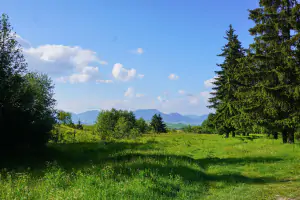 blízké okolí chaty Dúbrava