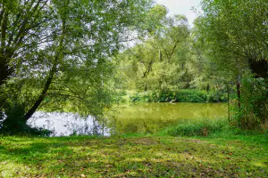 spodní část pozemku - možnost koupání a rybaření