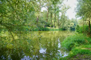 spodní část pozemku - možnost koupání a rybaření