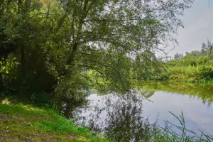 spodní část pozemku - možnost koupání a rybaření