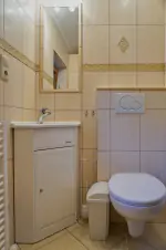 apartmán č. 2 - koupelna se sprchovým koutem, umyvadlem a WC